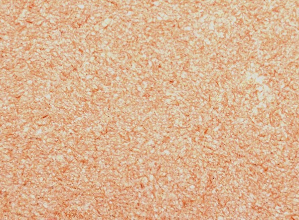 Жидкие обои PrimeColor 9 Жидкие обои PrimeColor 9